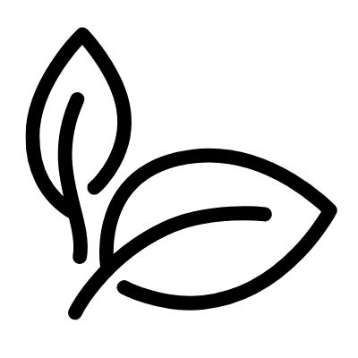 3 e1737020361626